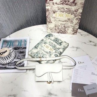 디올 송아지가죽 새들 클러치백/벨트백 S5619 화이트
