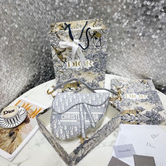 디올 DIOR OBLIQUE 자수 캔버스 새들백 M0446 그레이