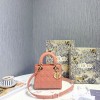 디올 에나멜 레이디백 스몰 M0531-1