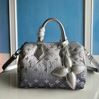 루이비통 반둘리에 스피디 25 M11848