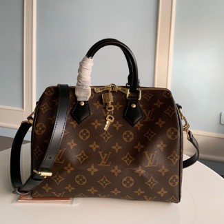 루이비통 마카사 스피디 25 M48285