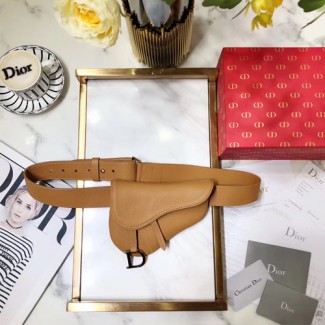 디올 신상 벨트백 M0251 브라운