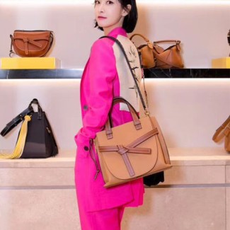 로에베 게이스 탑핸들백 스몰 247237 브라운