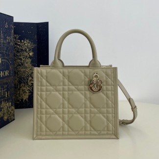 디올 북 토트백 스몰 M1325